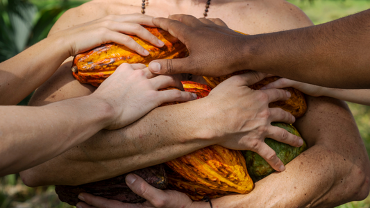Creating Your First Mmm Cacao